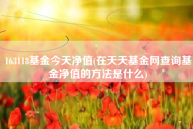 163118基金今天净值(在天天基金网查询基金净值的方法是什么)