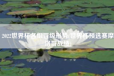 2022世界杯各组晋级形势(世界杯预选赛摩洛哥战绩)