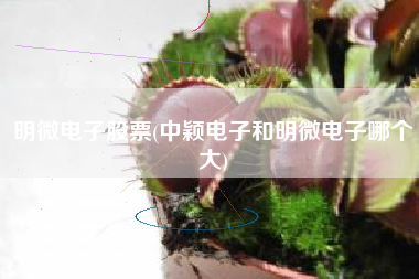 明微电子股票(中颖电子和明微电子哪个大)