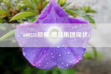 600238股票(椰岛集团现状)