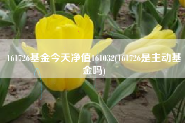 161726基金今天净值161032(161726是主动基金吗)