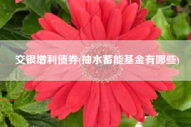 交银增利债券(抽水蓄能基金有哪些)