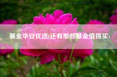 基金华安优选(还有那些基金值得买)