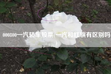 000800一汽轿车股票(一汽和红旗有区别吗)