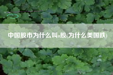 中国股市为什么叫a股(为什么美国跌)