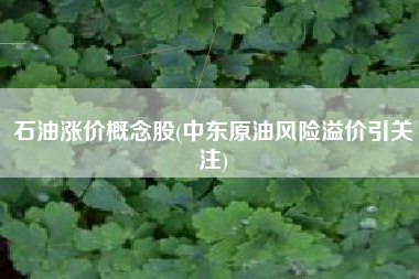 石油涨价概念股(中东原油风险溢价引关注)