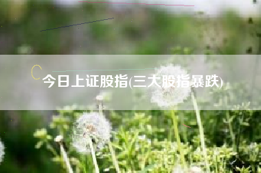 今日上证股指(三大股指暴跌)