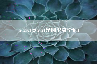 202021(202021是哪里身份证)
