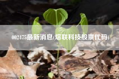 002475最新消息(熔联科技股票代码)