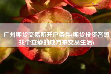 广州期货交易所开户条件(期货投资者想找个安静的地方来交易生活)