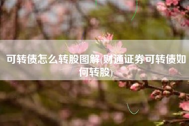 可转债怎么转股图解(财通证券可转债如何转股)