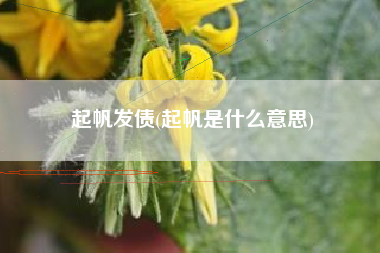 起帆发债(起帆是什么意思)