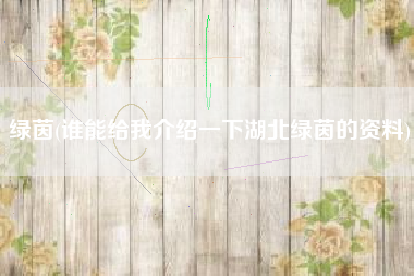 绿茵(谁能给我介绍一下湖北绿茵的资料)