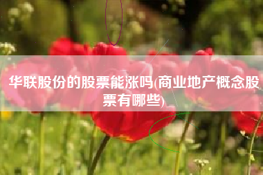 华联股份的股票能涨吗(商业地产概念股票有哪些)