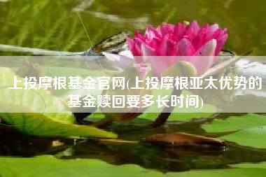 上投摩根基金官网(上投摩根亚太优势的基金赎回要多长时间)