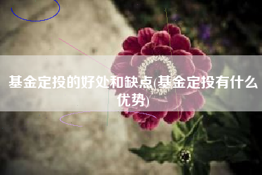 基金定投的好处和缺点(基金定投有什么优势)