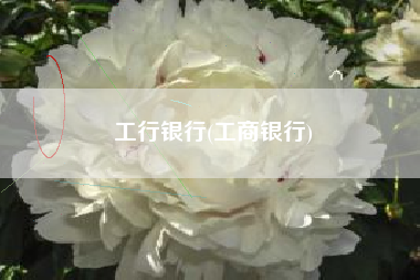 工行银行(工商银行)