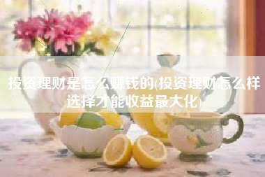 投资理财是怎么赚钱的(投资理财怎么样选择才能收益最大化)