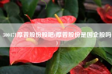 300471厚普股份股吧(厚普股份是国企股吗)