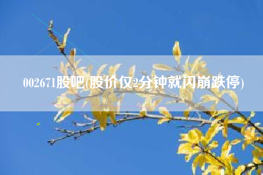 002671股吧(股价仅2分钟就闪崩跌停)