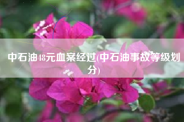 中石油48元血案经过(中石油事故等级划分)