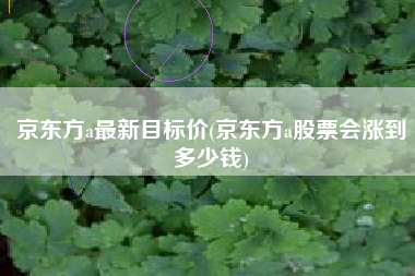 京东方a最新目标价(京东方a股票会涨到多少钱)