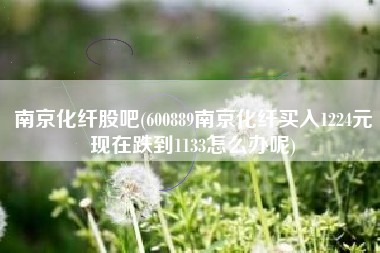 南京化纤股吧(600889南京化纤买入1224元现在跌到1133怎么办呢)