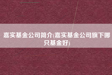 嘉实基金公司简介(嘉实基金公司旗下哪只基金好)