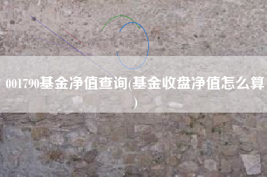 001790基金净值查询(基金收盘净值怎么算)