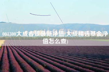 001300大成睿景最新净值(大成精选基金净值怎么查)