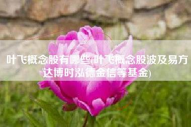 叶飞概念股有哪些(叶飞概念股波及易方达博时泓德金信等基金)