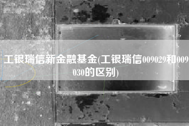 工银瑞信新金融基金(工银瑞信009029和009030的区别)