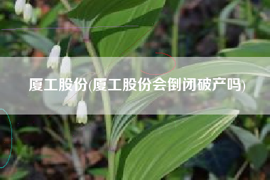 厦工股份(厦工股份会倒闭破产吗)