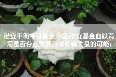 诺安平衡今日基金净值(诺安基金血跌背后是否存在大额资本影响大盘的可能)