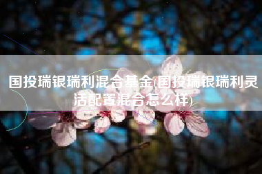 国投瑞银瑞利混合基金(国投瑞银瑞利灵活配置混合怎么样)