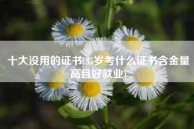 十大没用的证书(35岁考什么证书含金量高且好就业)