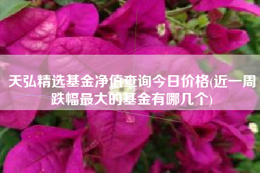 天弘精选基金净值查询今日价格(近一周跌幅最大的基金有哪几个)