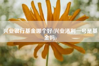 兴业银行基金哪个好(兴业添利一号是基金吗)