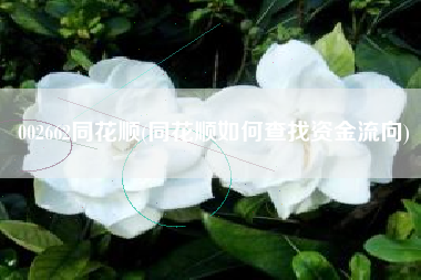002662同花顺(同花顺如何查找资金流向)