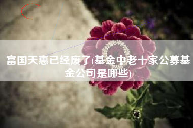 富国天惠已经废了(基金中老十家公募基金公司是哪些)