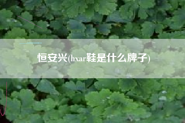 恒安兴(hxar鞋是什么牌子)