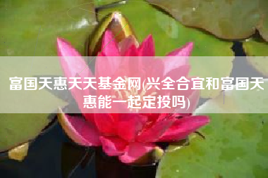 富国天惠天天基金网(兴全合宜和富国天惠能一起定投吗)