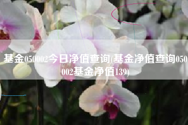 基金050002今日净值查询(基金净值查询050002基金净值139)