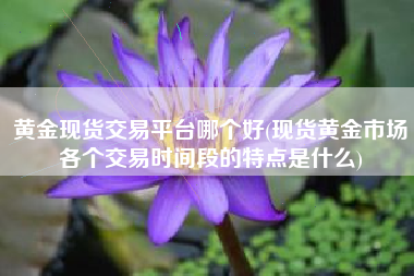 黄金现货交易平台哪个好(现货黄金市场各个交易时间段的特点是什么)