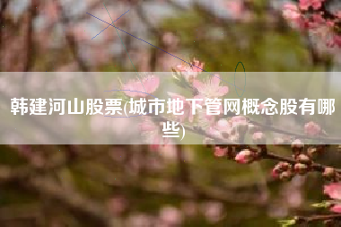 韩建河山股票(城市地下管网概念股有哪些)