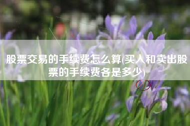 股票交易的手续费怎么算(买入和卖出股票的手续费各是多少)