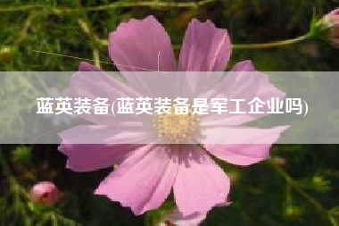 蓝英装备(蓝英装备是军工企业吗)