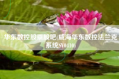 华东数控股票股吧(威海华东数控法兰克系统SV0410)