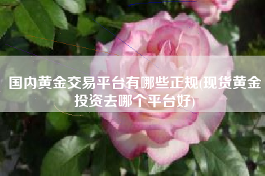 国内黄金交易平台有哪些正规(现货黄金投资去哪个平台好)