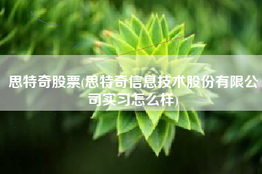 思特奇股票(思特奇信息技术股份有限公司实习怎么样)